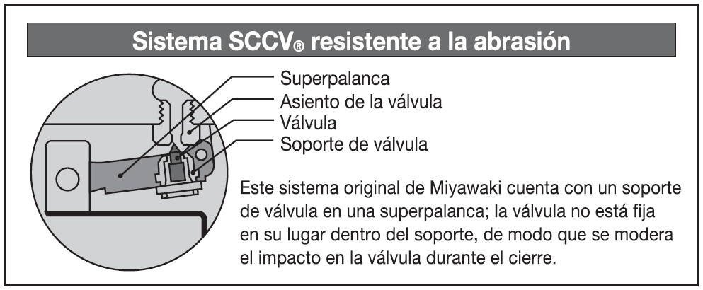 SCCV_color_big_ES.png