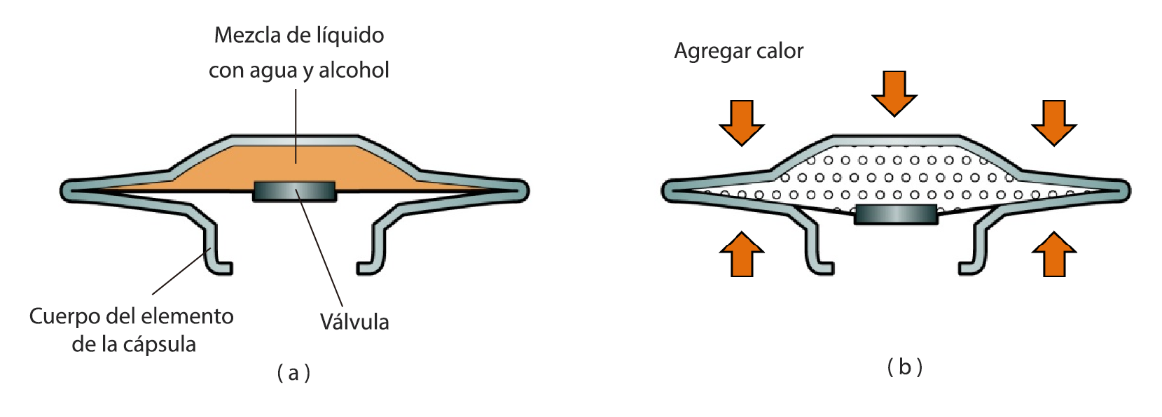 Figure 2.9 capsule element_ES.png