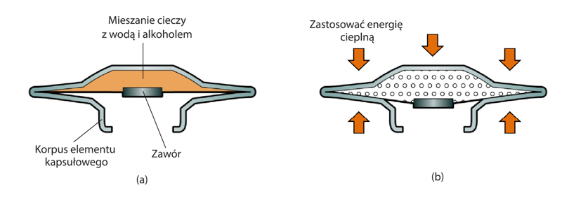 Figure 2.9 capsule element.png