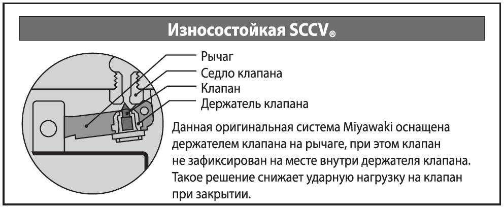 SCCV_color_big.png