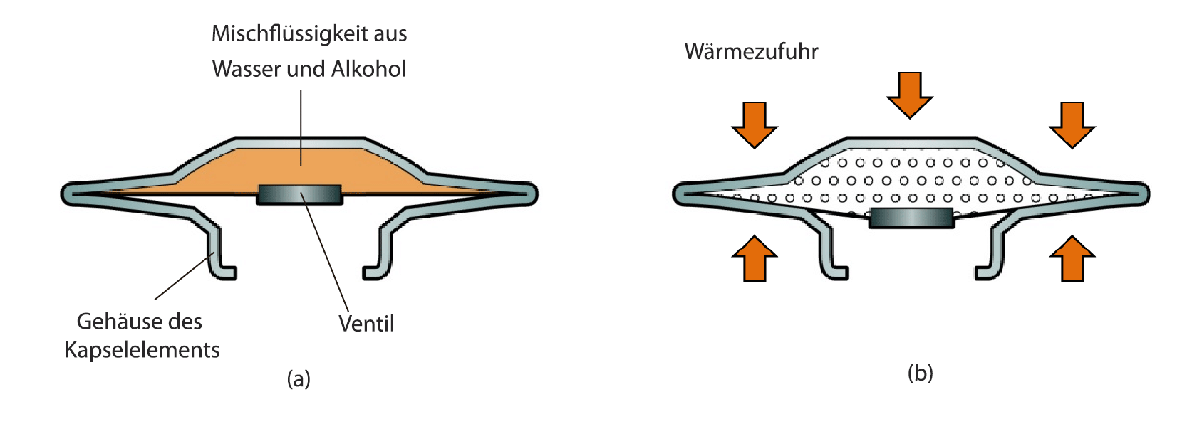 Figure 2.9 capsule element_DE