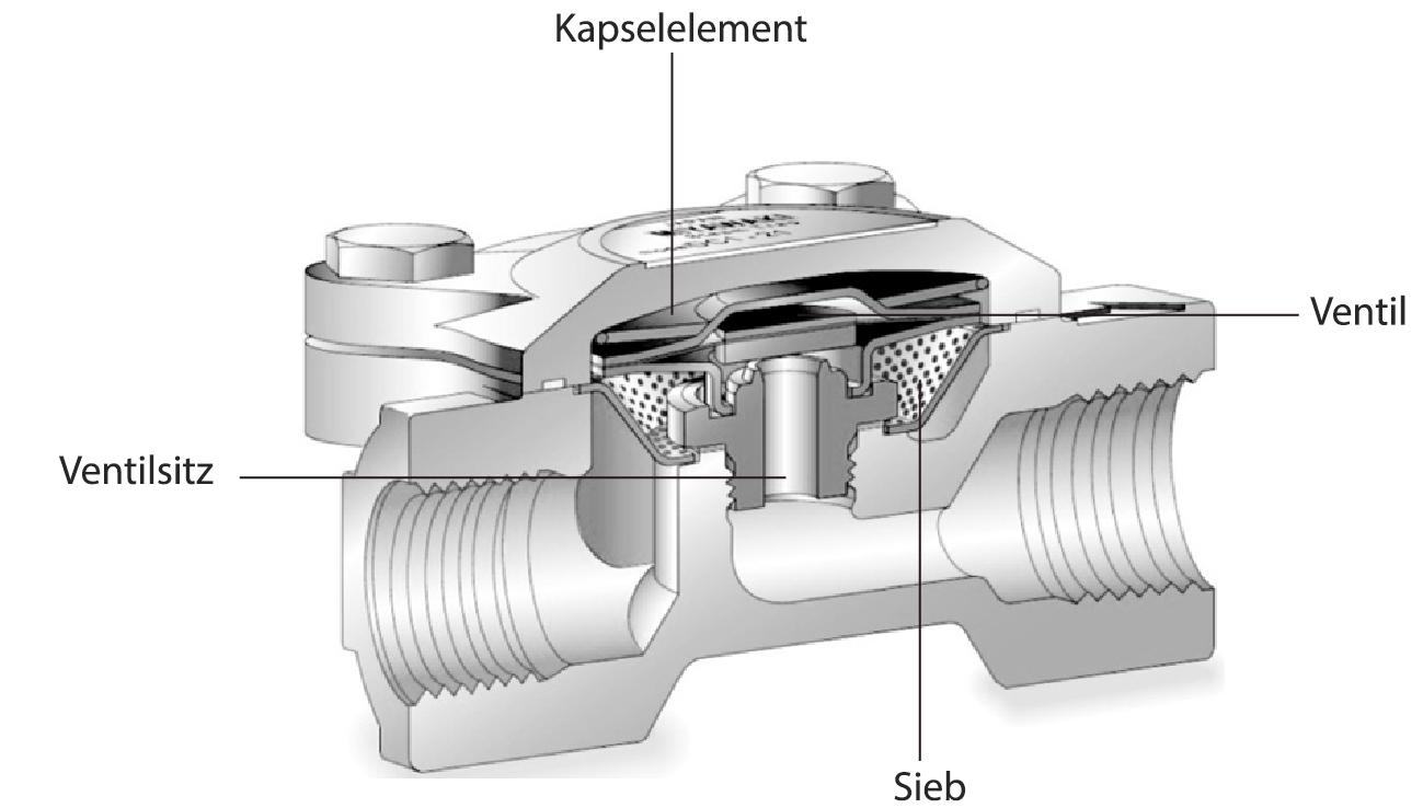 Figure 2.8 Balanced Pressure Thermostatic Steam Trap_DE