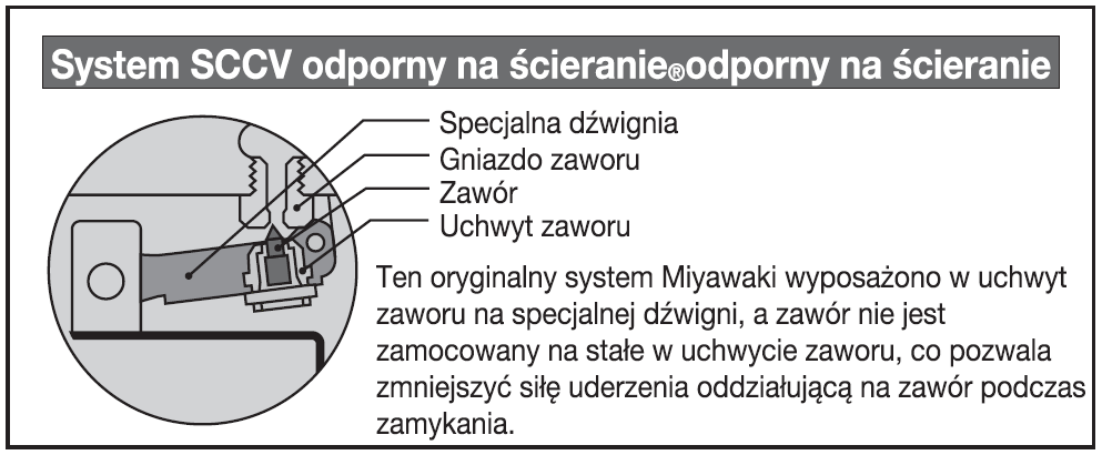 SCCV_color_big_pl